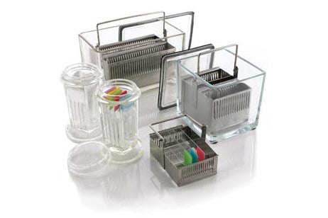 Glass Staining Dishes & S/Steel Racks