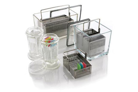 Sequenza Staining Rack Staining – Cell Path Services South Africa