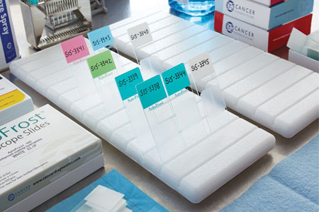 Slide Holders : Cell Path Services – Cell Path Services South Africa